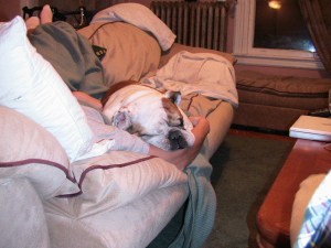 Edgar very comfortable